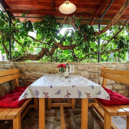Carla Guest House Novigrad Istria 외부 사진