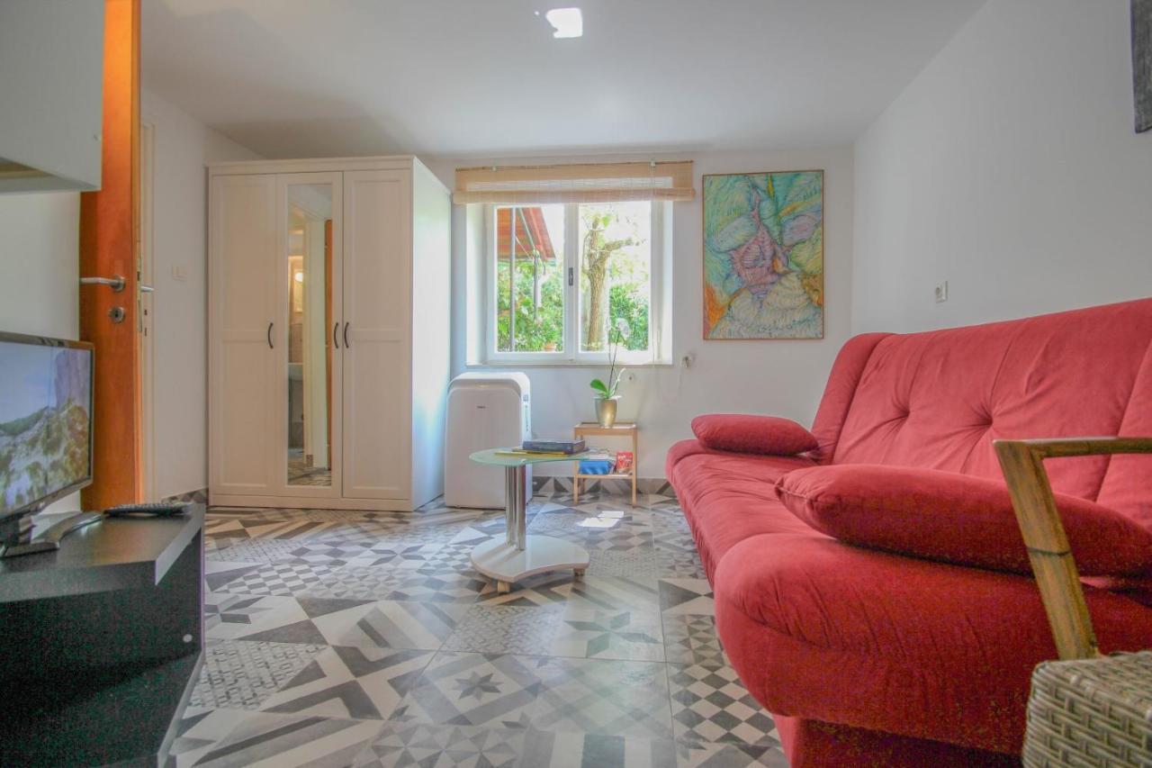 Carla Guest House Novigrad Istria 외부 사진
