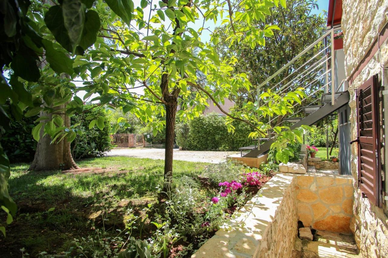 Carla Guest House Novigrad Istria 외부 사진
